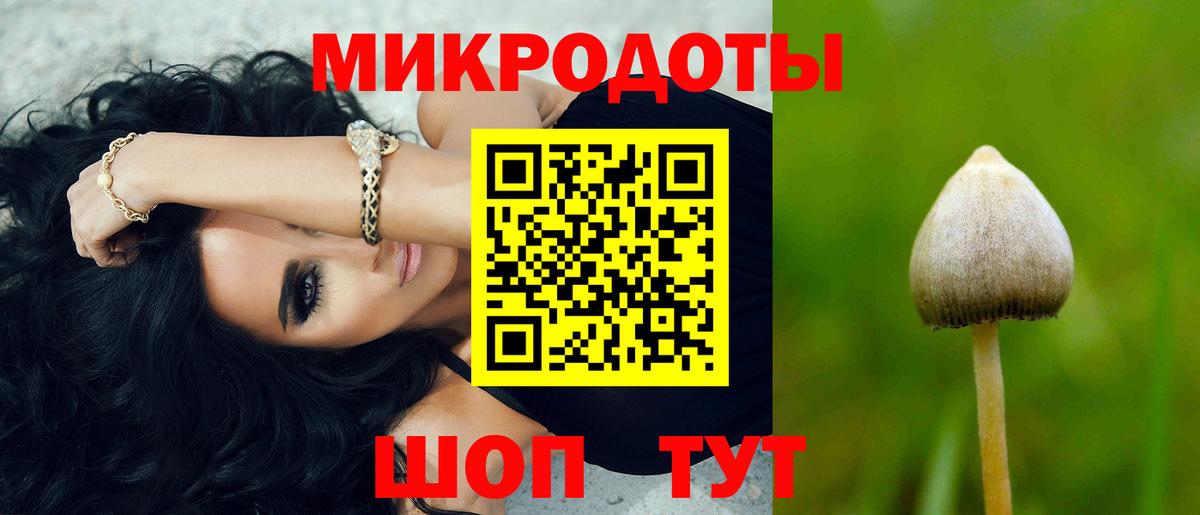 Галлюциногенные грибы GOLDEN TEACHER Грязи